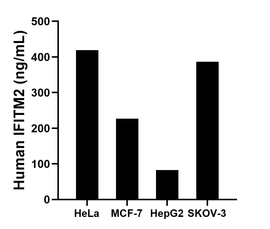 Sample test of MP00456-1